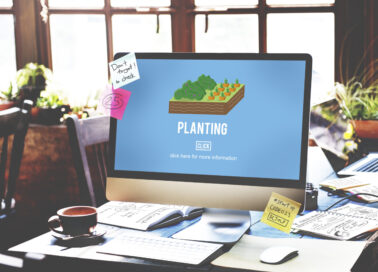 Organic Agriculture Crop Environment Growing Concept Organic Agriculture Crop Environment Growing Concept