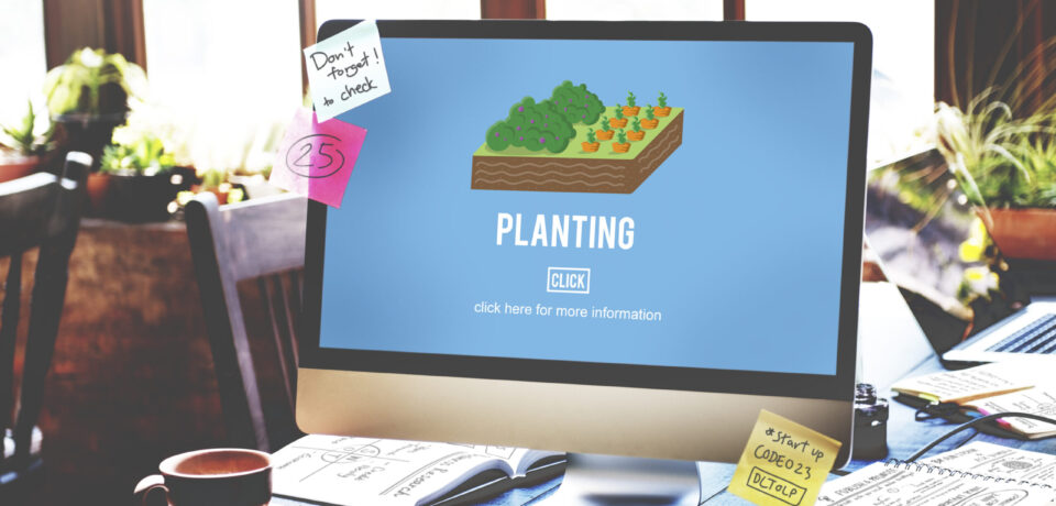 Organic Agriculture Crop Environment Growing Concept
