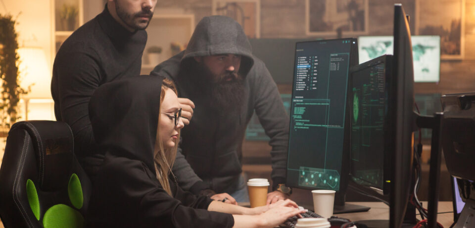 Team of hackers hired by government to test their firewall with dangerous malware. Female hacker.